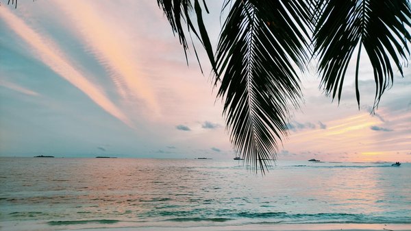 Découvrez le séjour kitesurf dakhla : aventure et détente